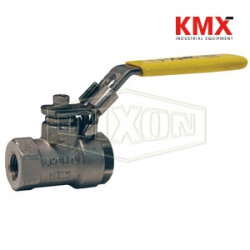 2-Piece Domestic Stainless Steel Ball Valve DSBV100