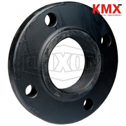 150 LB. ASA Forged NPT Threaded Flange T100